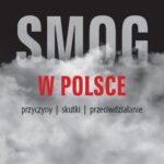 Smog w Polsce — okładka e-booka
