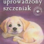 Tytuł: Smyk uprowadzony szczeniak
Autor: Holly Webb
Wydawnictwo: Zielona Sowa
Formaty: MOBI, EPUB