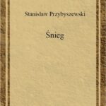 Śnieg — okładka e-booka