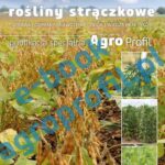 Tytuł: Soja i inne rośliny strączkowe - bobik, groch, łubin
Autor: Praca zbiorowa
Wydawnictwo: Agro Wydawnictwo
Formaty: PDF