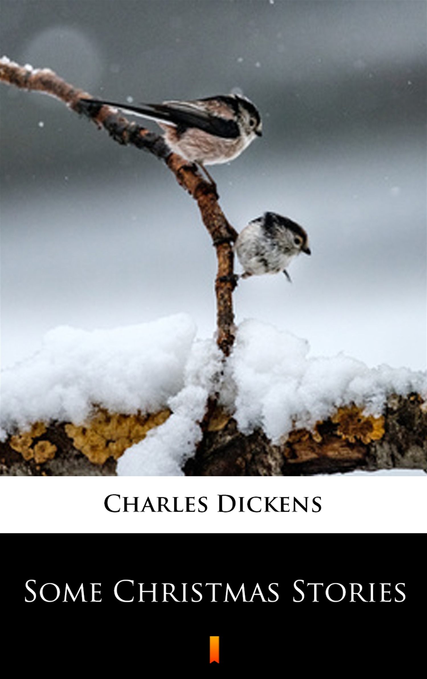 Tytuł: Some Christmas Stories
Autor: Charles Dickens
Wydawnictwo: KtoCzyta.pl
Formaty: EPUB, MOBI