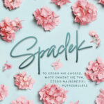 Spadek — okładka e-booka