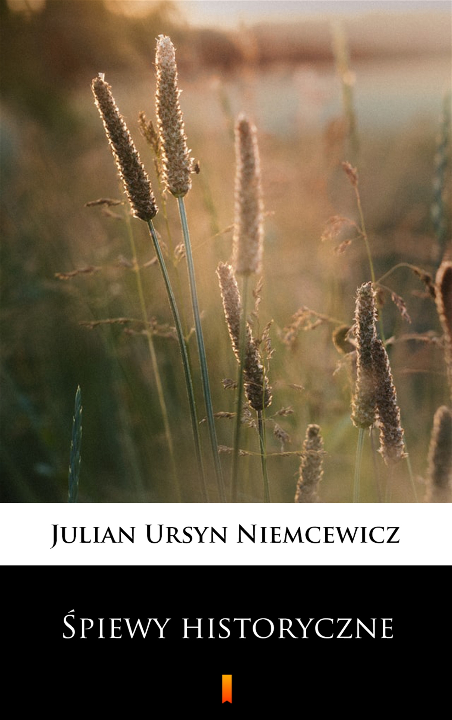 Tytuł: Śpiewy historyczne
Autor: Julian Ursyn Niemcewicz
Wydawnictwo: KtoCzyta.pl
Formaty: EPUB, MOBI