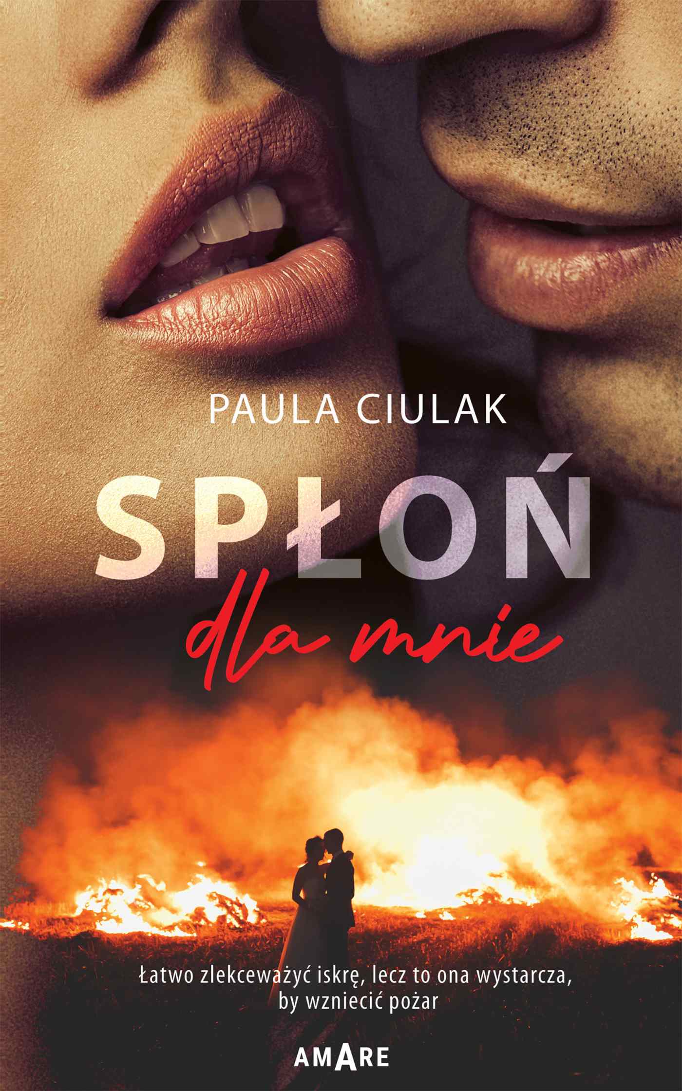 Spłoń dla mnie — okładka