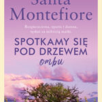 Spotkamy się pod drzewem ombu — okładka e-booka