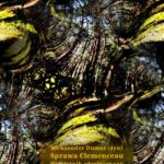 Tytuł: Sprawa Clemenceau. Pamiętnik obwinionego
Autor: Aleksander Dumas (syn)
Wydawnictwo: Armoryka
Formaty: EPUB, MOBI