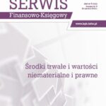 Środki trwałe i wartości niematerialne i prawne — okładka e-booka