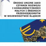 Środki unijne jako czynnik rozwoju i konkurencyjności małych i średnich przeds iębiorstw w województwie śląskim — okładka e-booka