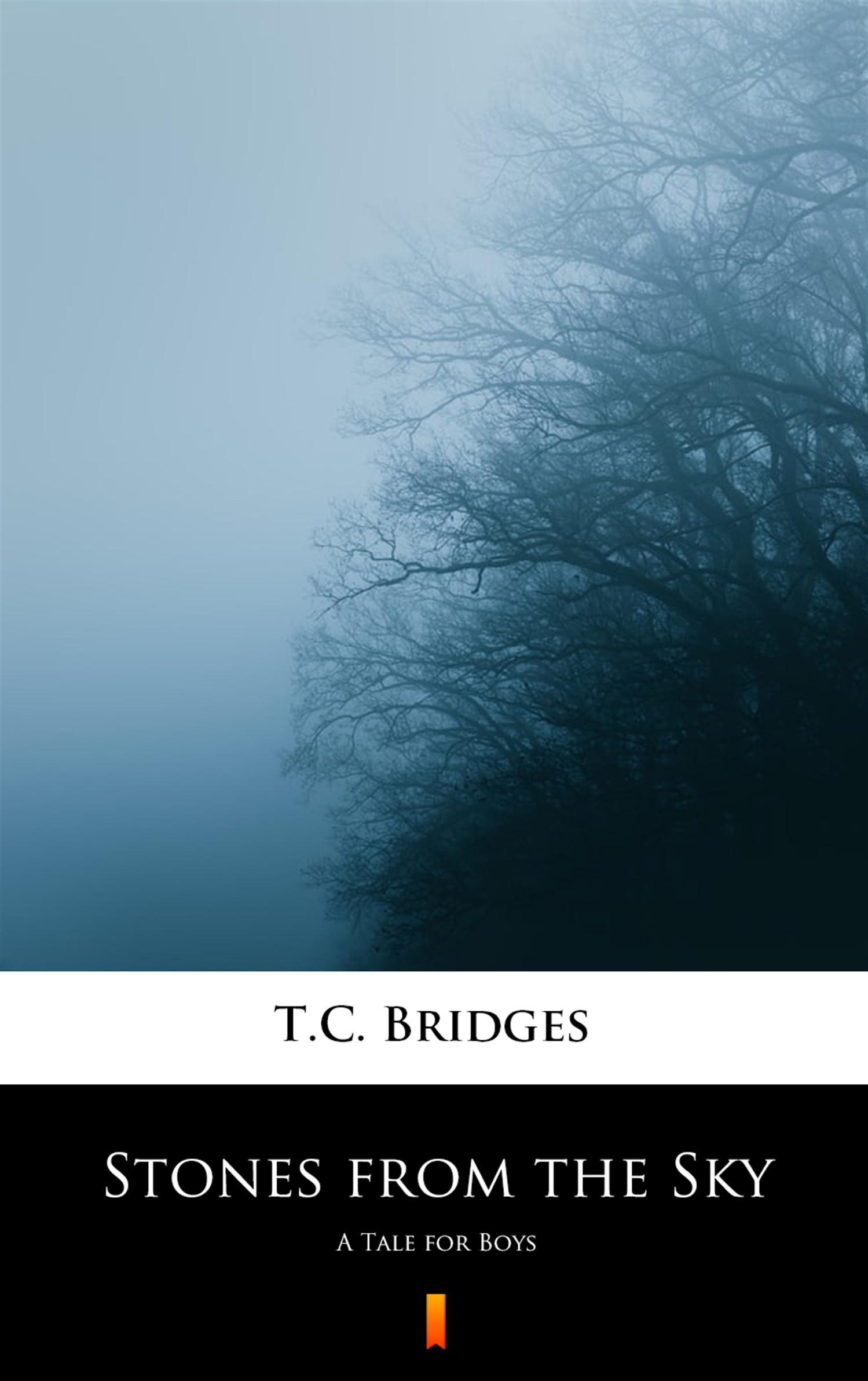 Tytuł: Stones from the Sky. A Tale for Boys
Autor: T.C. Bridges
Wydawnictwo: KtoCzyta.pl
Formaty: EPUB, MOBI