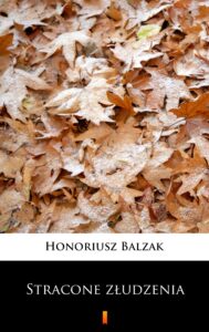 Stracone złudzenia — okładka e-booka