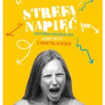 Strefa napięć. Historia naturalna konfliktu z nastolatkiem — okładka e-booka