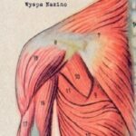 Tytuł: Struna/ Wyspa Nazino
Autor: 
Wydawnictwo: Biblioteka Słów
Formaty: MOBI, EPUB