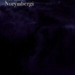 Tytuł: Studnie Norymbergi
Autor: Emil Marat
Wydawnictwo: Wielka Litera
Formaty: MOBI, EPUB