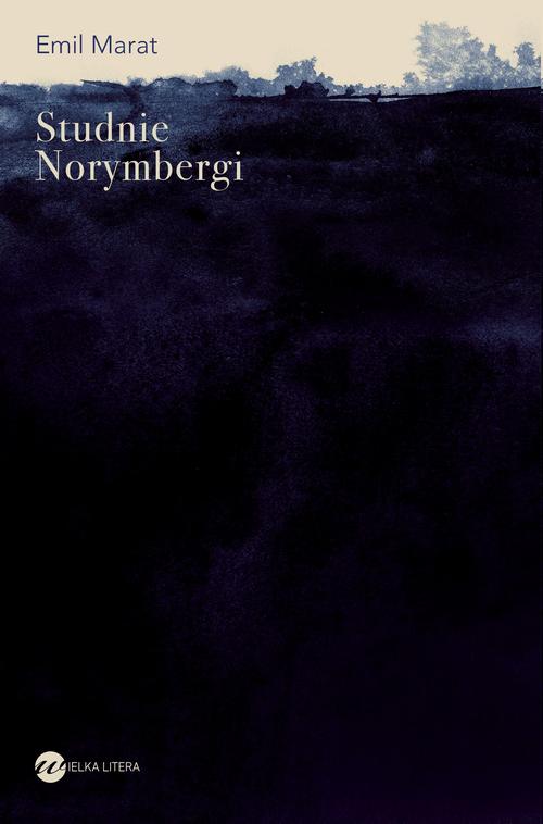 Tytuł: Studnie Norymbergi
Autor: Emil Marat
Wydawnictwo: Wielka Litera
Formaty: MOBI, EPUB