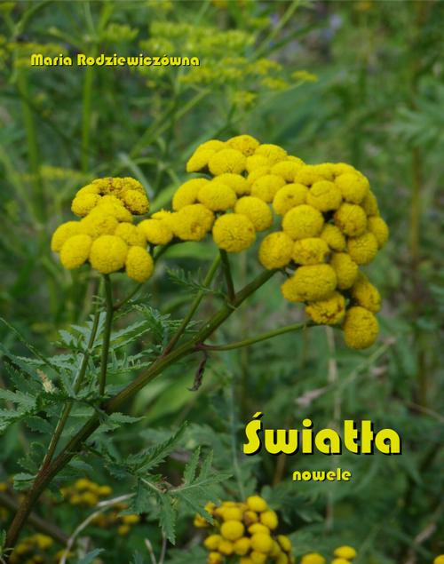 Tytuł: Światła. Nowele
Autor: Maria Rodziewiczówna
Wydawnictwo: Armoryka
Formaty: EPUB, MOBI