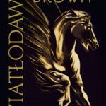 Tytuł: Światłodawca. Cykl Czerwony świt. Tom 6
Autor: Pierce Brown
Wydawnictwo: MAG
Formaty: EPUB, MOBI