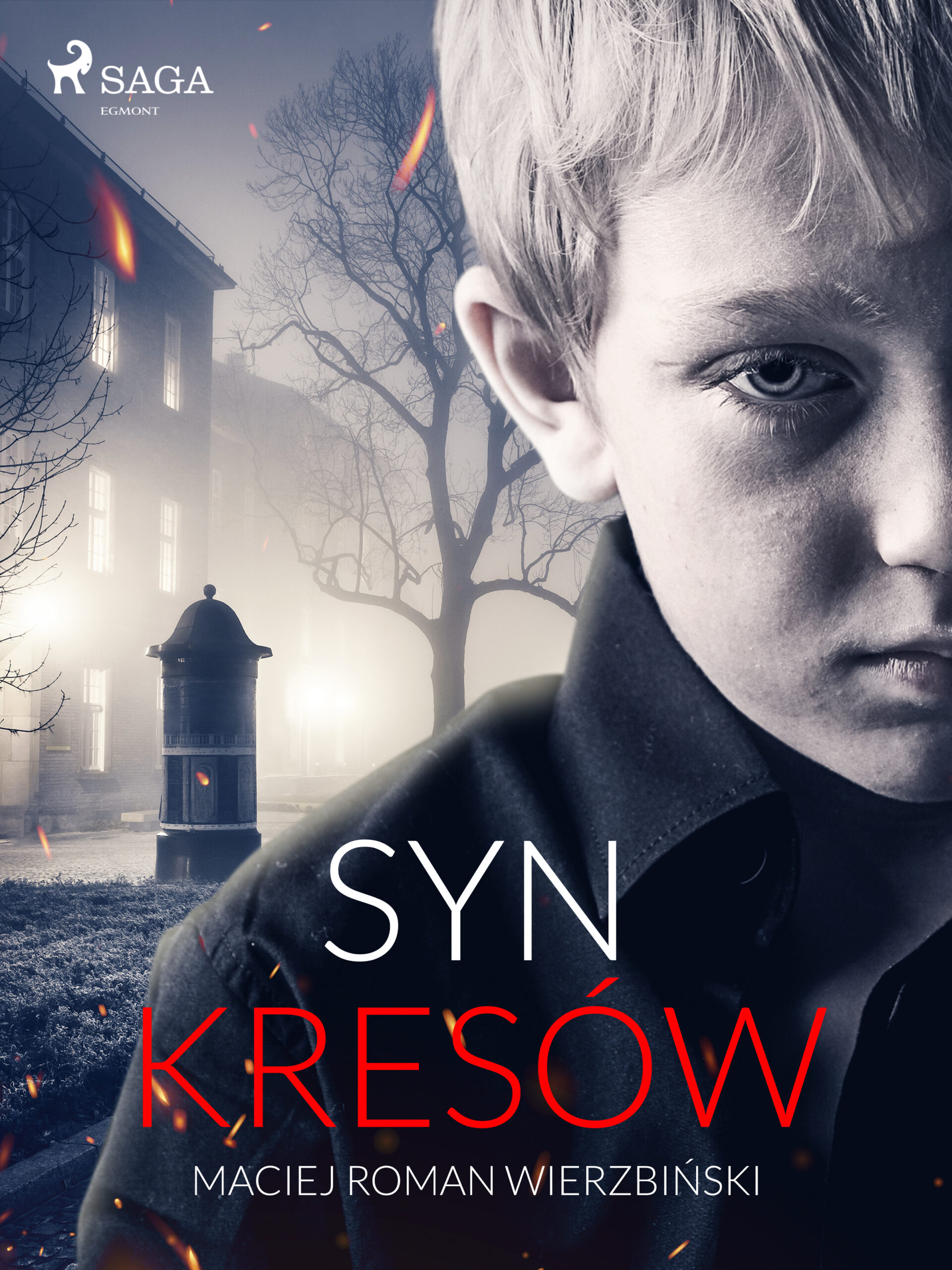 Tytuł: Syn Kresów
Autor: Maciej Roman Wierzbiński
Wydawnictwo: SAGA Egmont
Formaty: EPUB, MOBI
