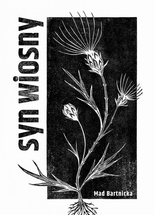 Tytuł: Syn wiosny
Autor: Mad Bartnicka
Wydawnictwo: Wydawnictwo e-bookowo
Formaty: MOBI, EPUB