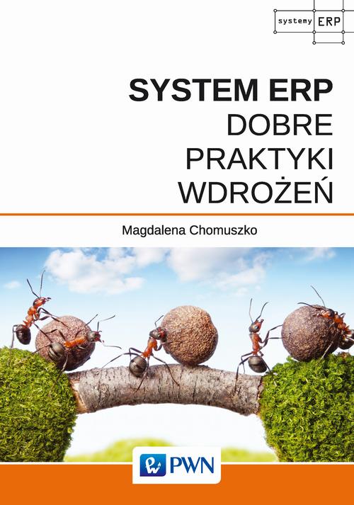 System ERP - Dobre praktyki wdrożeń — okładka e-booka