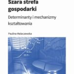 Szara strefa gospodarki — okładka e-booka
