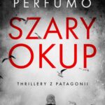 Tytuł: Szary okup
Autor: Cristian Perfumo
Wydawnictwo: Studio Link Piotr Jarco
Formaty: PDF, MOBI, EPUB