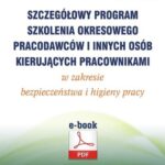 Szczegółowy program szkolenia okresowego pracodawców i innych osób kierujących pracownikami w zakresie bezpieczeństwa i higieny pracy (e-book) — okładka e-booka