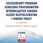 Szczegółowy program szkolenia pracodawców wykonujących zadania służby bezpieczeństwa i higieny pracy w zakresie bezpieczeństwa i higieny pracy (e-book) — okładka e-booka