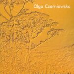 Tytuł: Szkice z andragogiki i gerontologii
Autor: Olga Czerniawska
Wydawnictwo: Akademia Humanistyczno-Ekonomiczna w Łodzi
Formaty: PDF