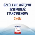 Szkolenie wstępne Instruktaż stanowiskowy Cieśla — okładka e-booka