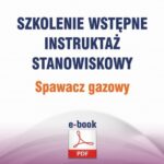 Szkolenie wstępne Instruktaż stanowiskowy Spawacz gazowy — okładka e-booka