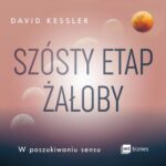 Tytuł: Szósty etap żałoby
Autor: David Kessler
Wydawnictwo: MT Biznes
Formaty: MP3