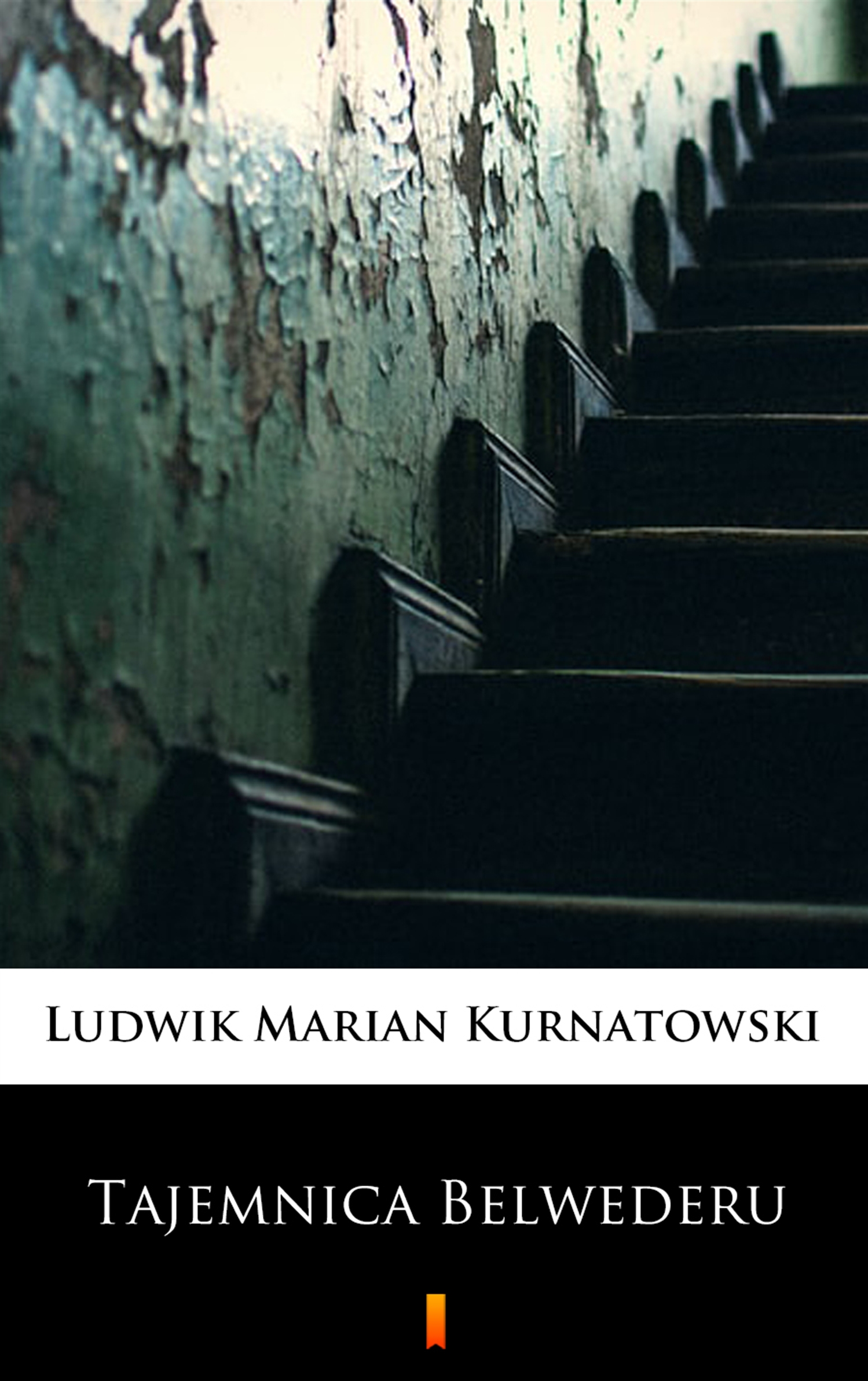 Tytuł: Tajemnica Belwederu
Autor: Ludwik Marian Kurnatowski
Wydawnictwo: KtoCzyta.pl
Formaty: EPUB, MOBI
