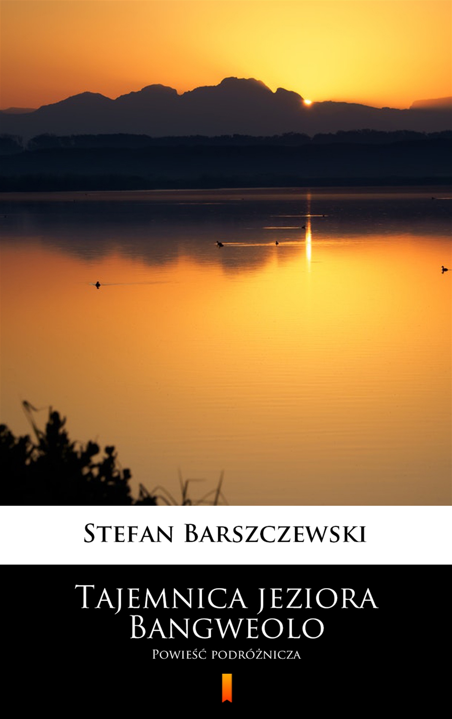 Tytuł: Tajemnica jeziora Bangweolo. Powieść podróżnicza
Autor: Stefan Barszczewski
Wydawnictwo: KtoCzyta.pl
Formaty: EPUB, MOBI