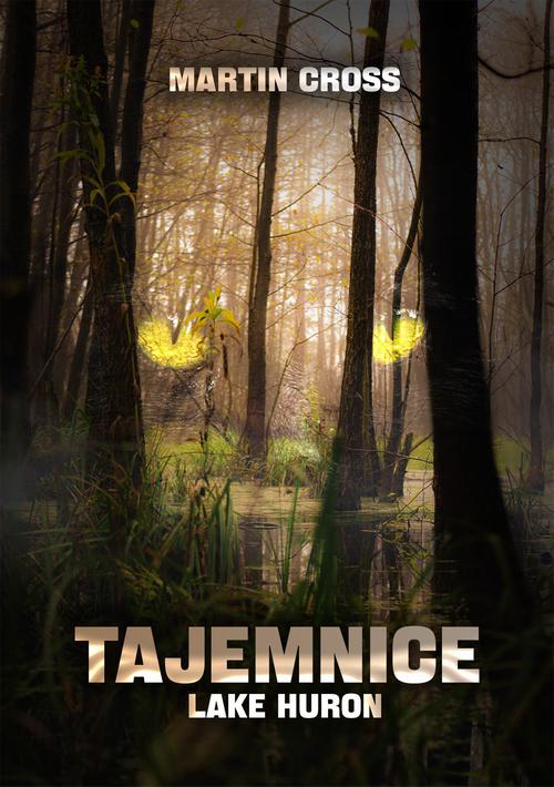 Tajemnice Lake Huron — okładka e-booka