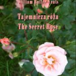 Tytuł: Tajemnicza róża
Autor: William Butler Yeats
Wydawnictwo: Armoryka
Formaty: MOBI, EPUB