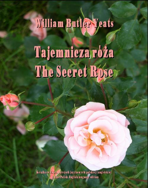 Tytuł: Tajemnicza róża
Autor: William Butler Yeats
Wydawnictwo: Armoryka
Formaty: MOBI, EPUB