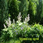 Tytuł: Tajemniczy ogród. The Secret Garden
Autor: Frances Hodgson Burnett
Wydawnictwo: Armoryka
Formaty: MOBI, EPUB