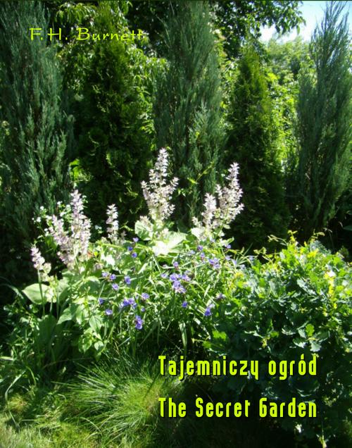 Tytuł: Tajemniczy ogród. The Secret Garden
Autor: Frances Hodgson Burnett
Wydawnictwo: Armoryka
Formaty: MOBI, EPUB