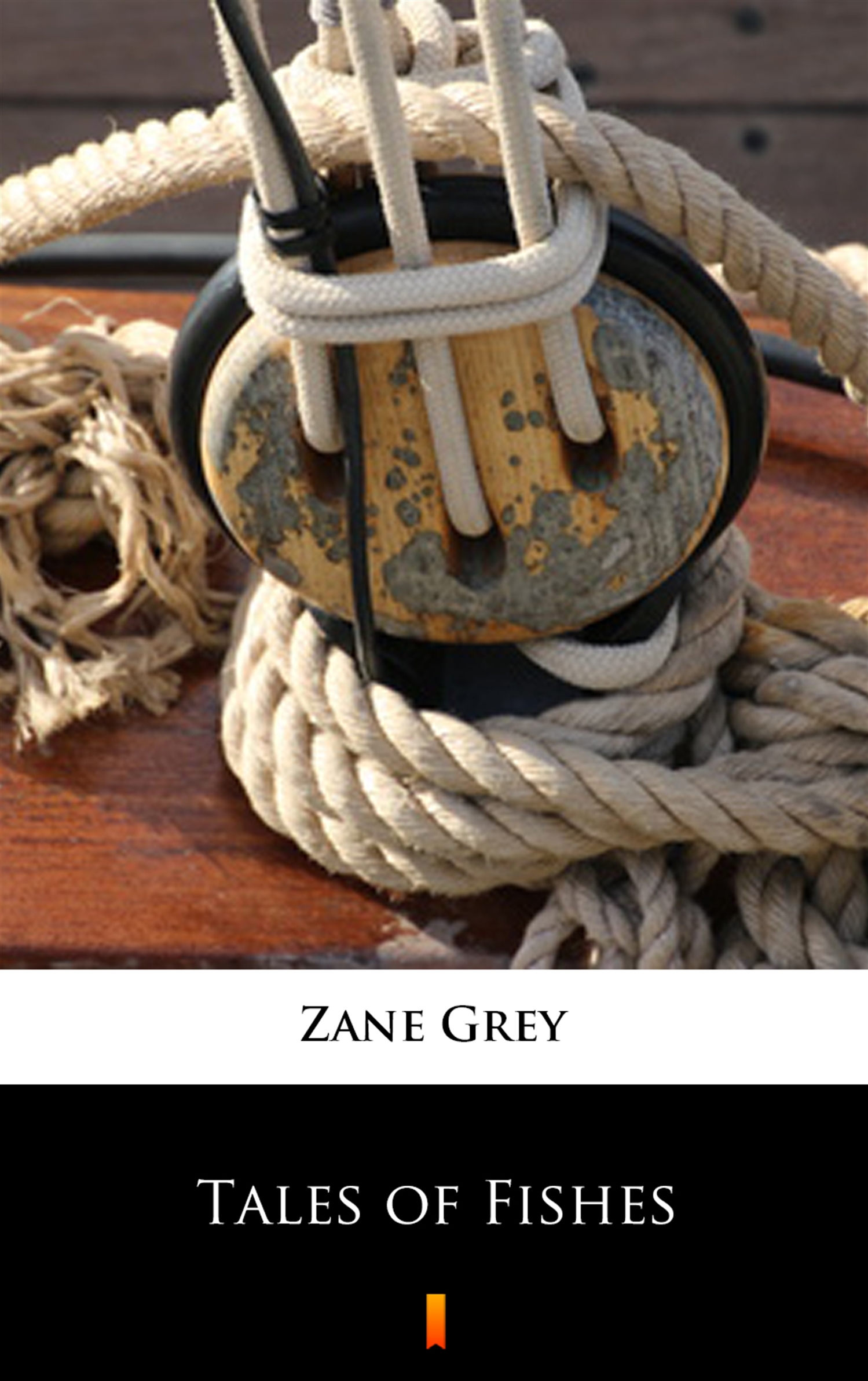 Tytuł: Tales of Fishes
Autor: Zane Grey
Wydawnictwo: KtoCzyta.pl
Formaty: EPUB, MOBI
