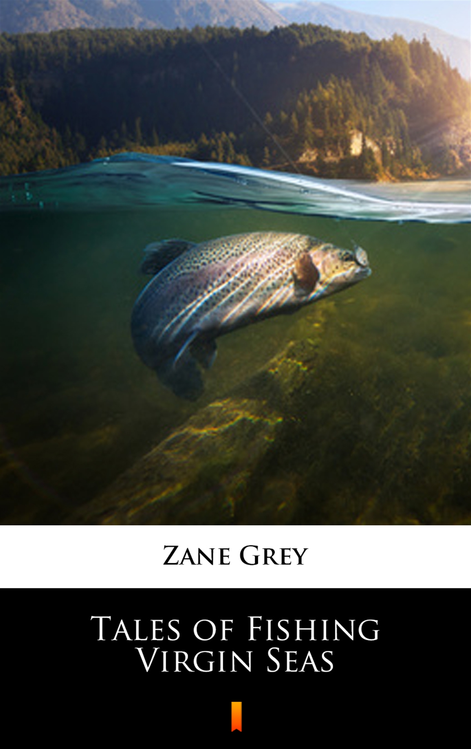 Tytuł: Tales of Fishing Virgin Seas
Autor: Zane Grey
Wydawnictwo: KtoCzyta.pl
Formaty: EPUB, MOBI