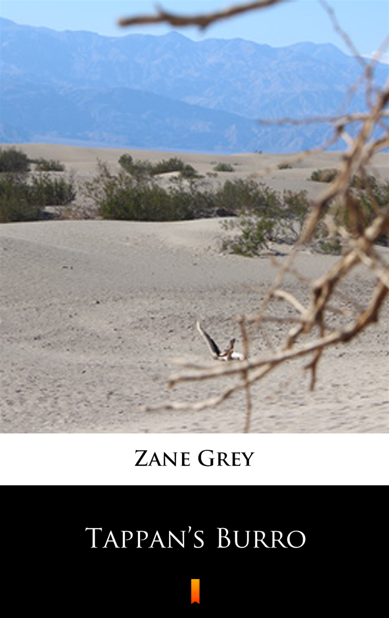 Tytuł: Tappan’s Burro
Autor: Zane Grey
Wydawnictwo: KtoCzyta.pl
Formaty: EPUB, MOBI
