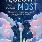 Tęczowy most — okładka e-booka