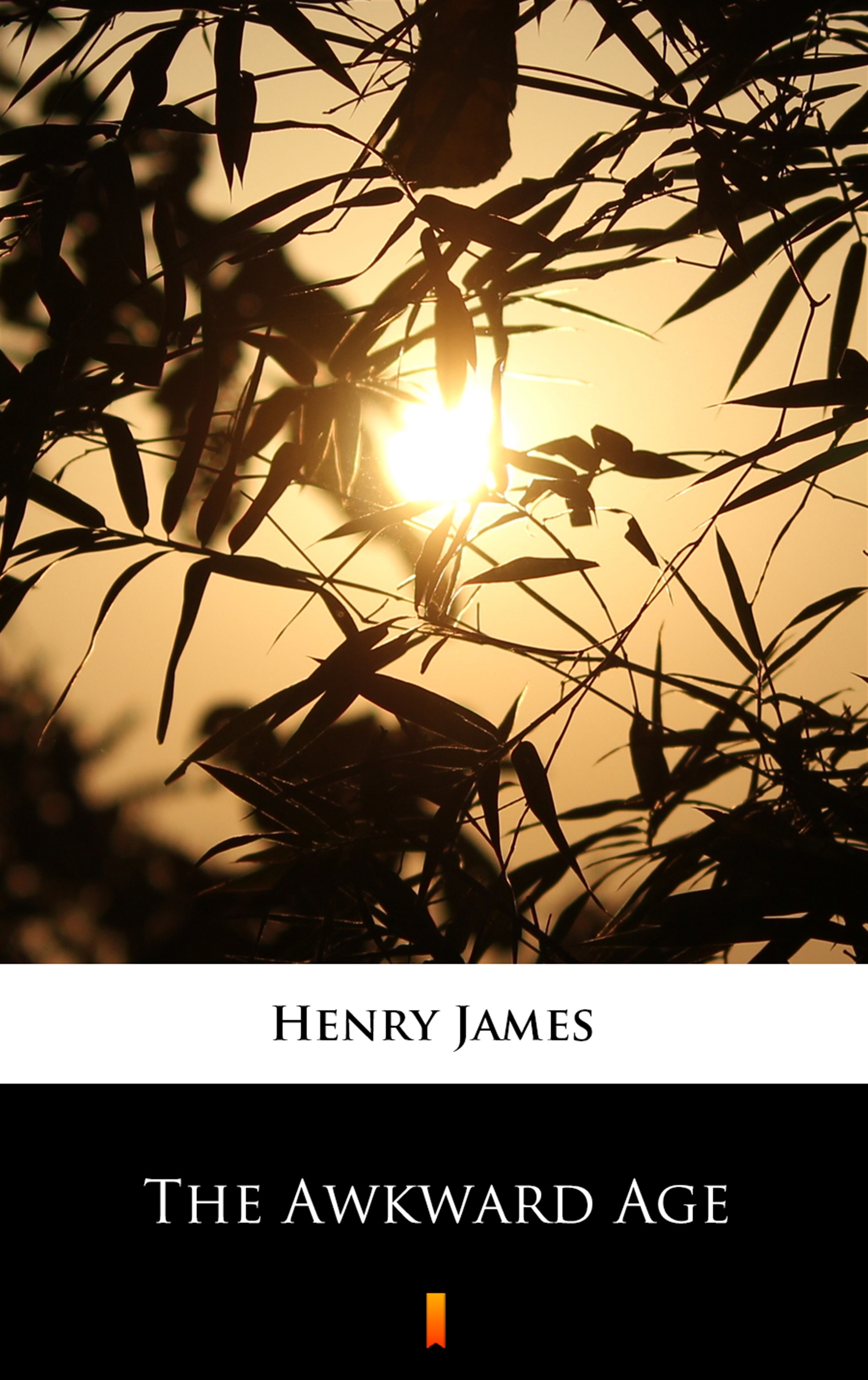 Tytuł: The Awkward Age
Autor: Henry James
Wydawnictwo: KtoCzyta.pl
Formaty: EPUB, MOBI