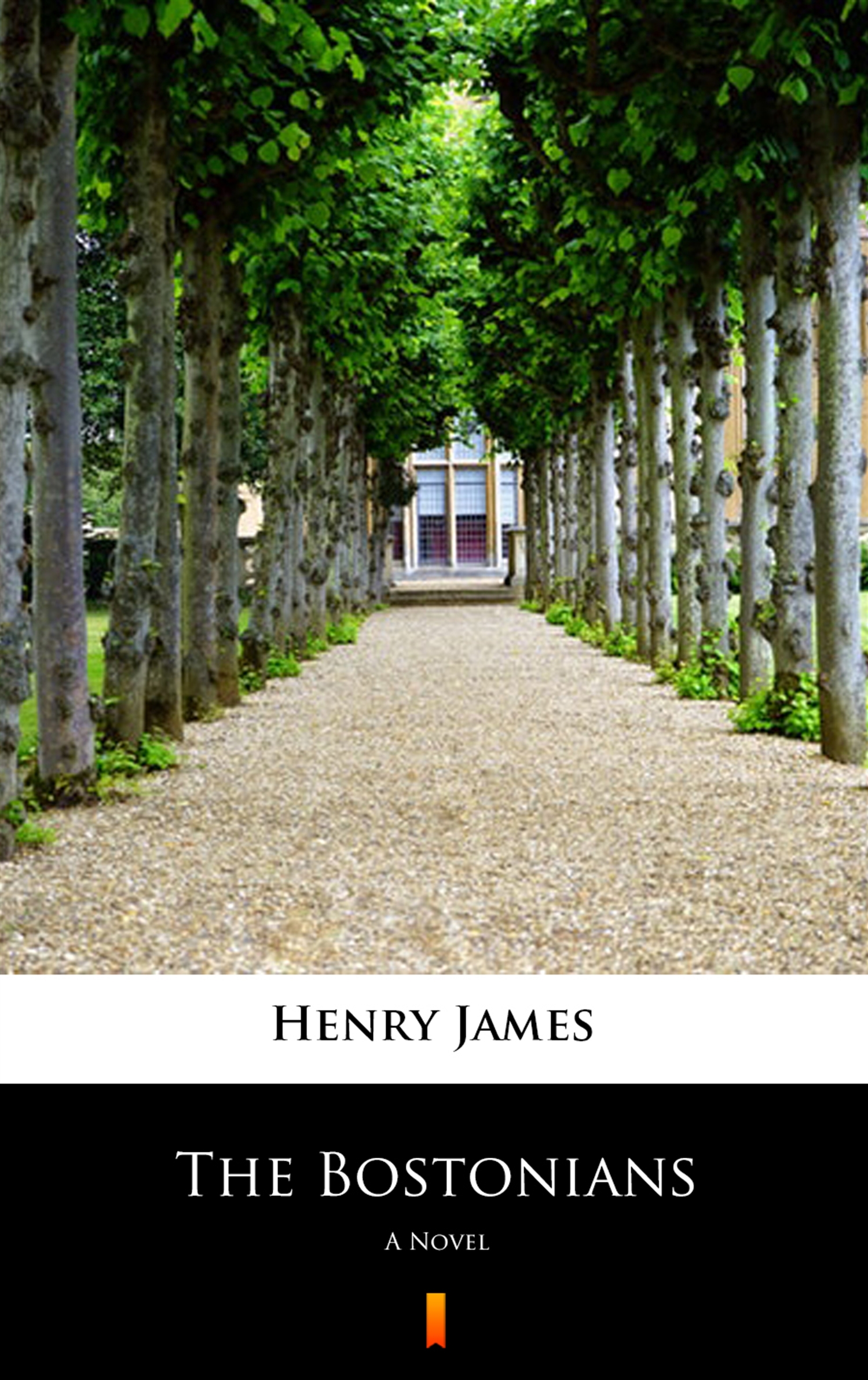 Tytuł: The Bostonians. A Novel
Autor: Henry James
Wydawnictwo: KtoCzyta.pl
Formaty: EPUB, MOBI