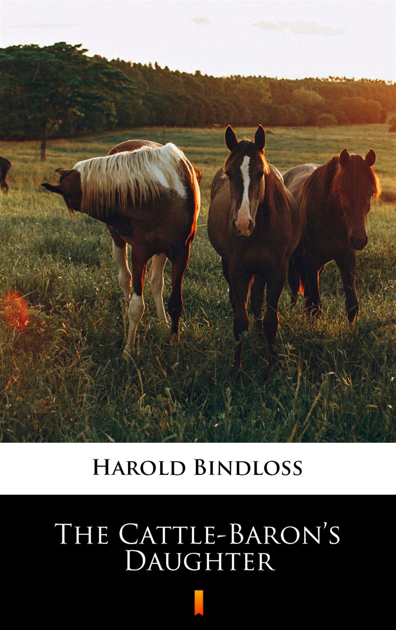 The Cattle-Baron’s Daughter — okładka e-booka
