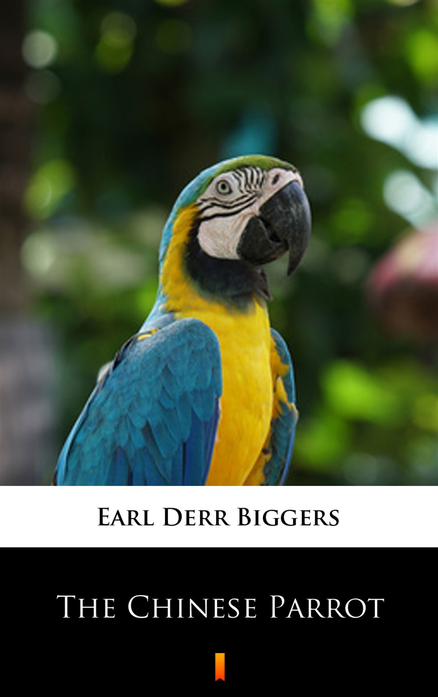 Tytuł: The Chinese Parrot
Autor: Earl Derr Biggers
Wydawnictwo: KtoCzyta.pl
Formaty: EPUB, MOBI