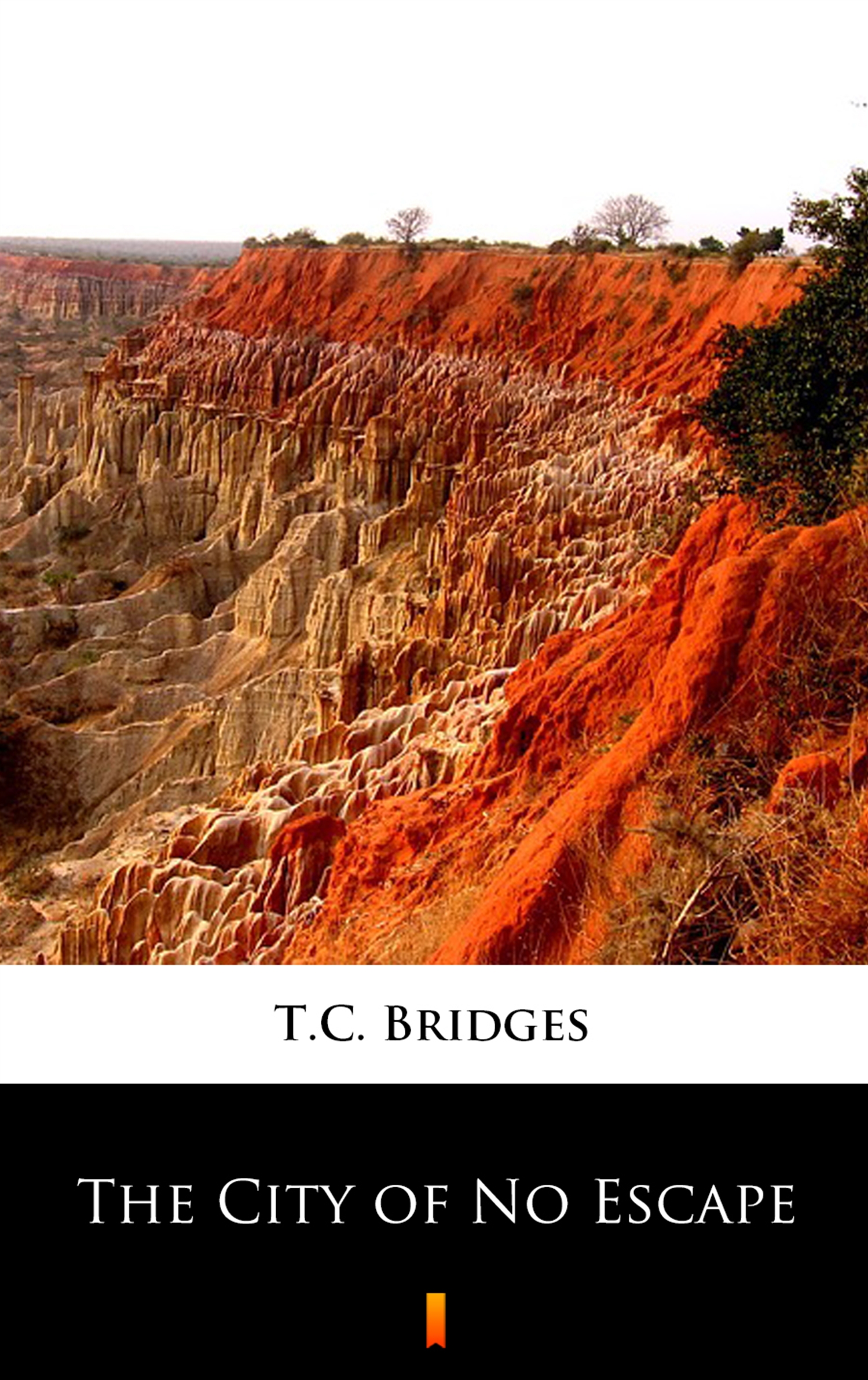 Tytuł: The City of No Escape
Autor: T.C. Bridges
Wydawnictwo: KtoCzyta.pl
Formaty: EPUB, MOBI