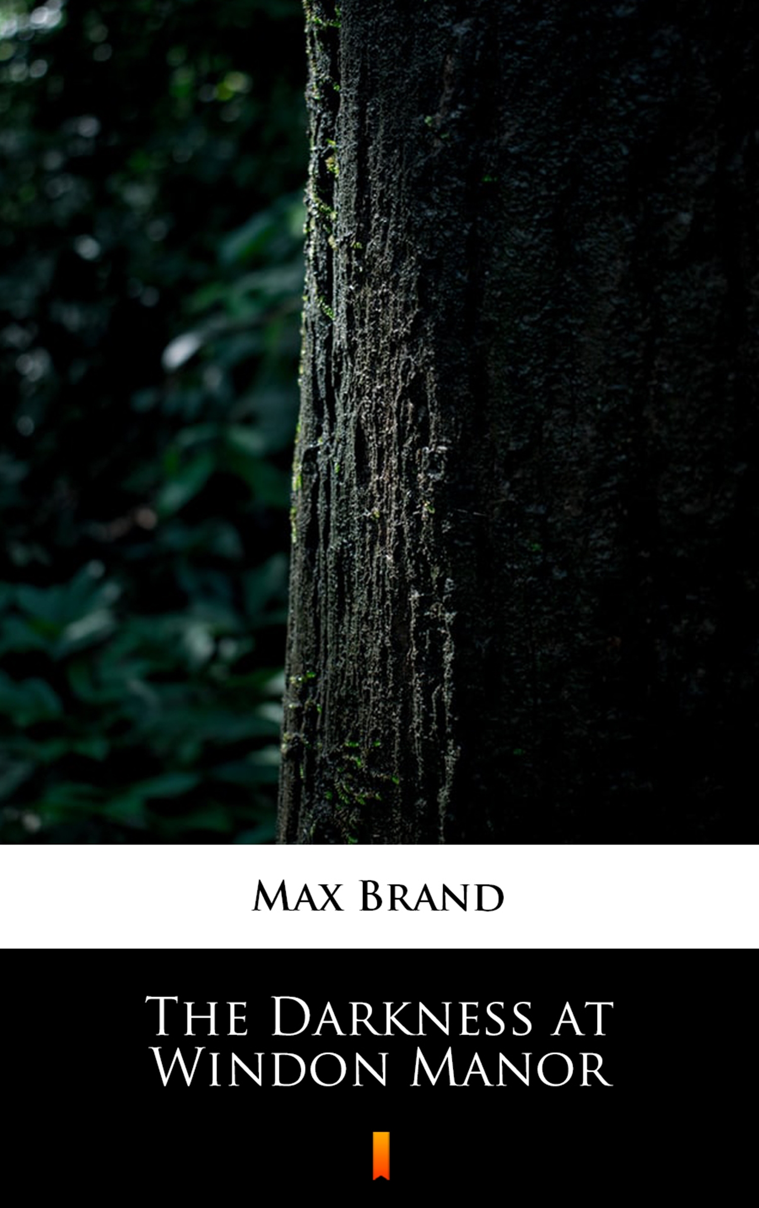 Tytuł: The Darkness at Windon Manor
Autor: Max Brand
Wydawnictwo: KtoCzyta.pl
Formaty: EPUB, MOBI