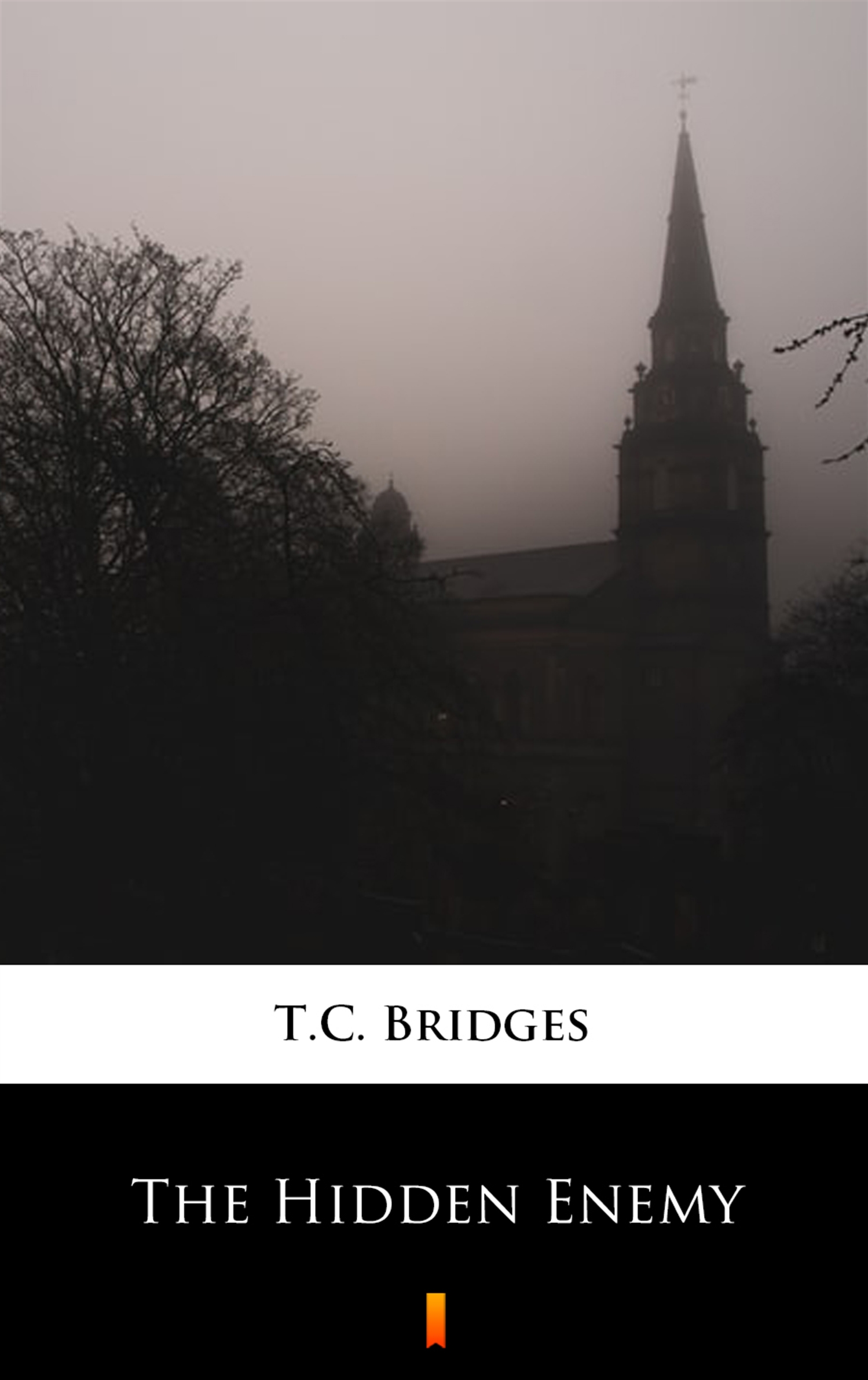 Tytuł: The Hidden Enemy
Autor: T.C. Bridges
Wydawnictwo: KtoCzyta.pl
Formaty: EPUB, MOBI