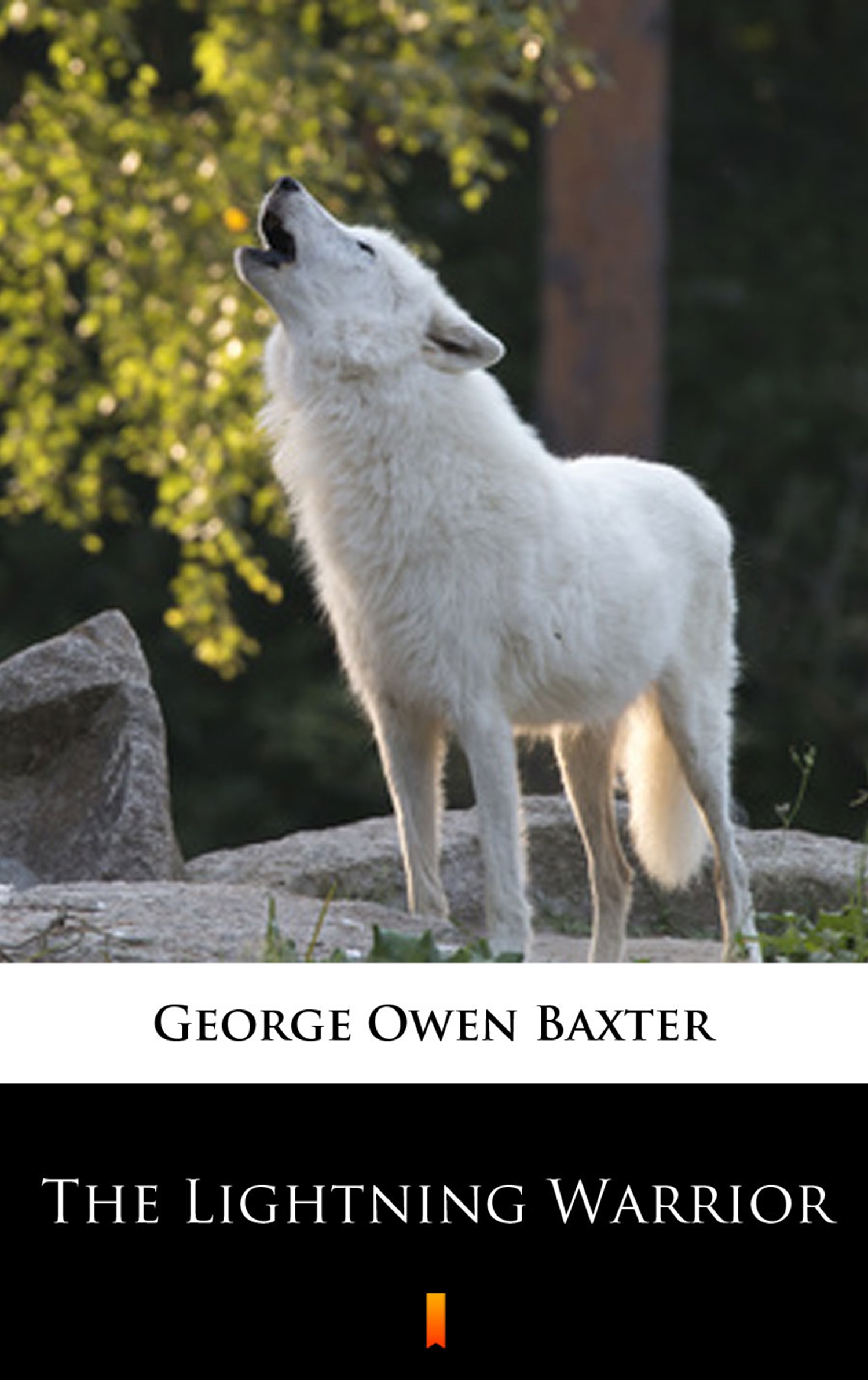 Tytuł: The Lightning Warrior
Autor: George Owen Baxter
Wydawnictwo: KtoCzyta.pl
Formaty: EPUB, MOBI